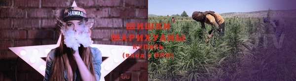 ПСИЛОЦИБИНОВЫЕ ГРИБЫ Коряжма