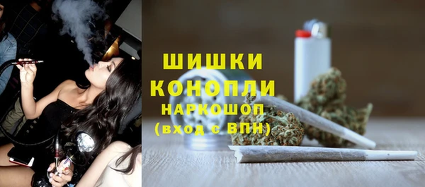 прущие грибы Костерёво