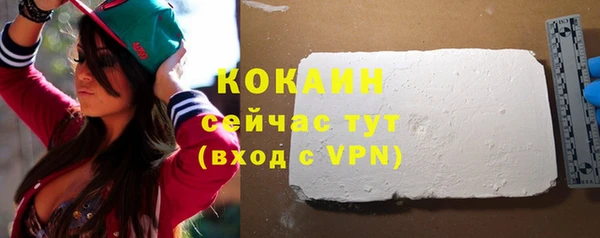 PSILOCYBIN Корсаков