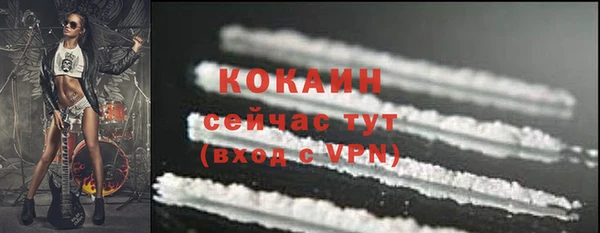 ПСИЛОЦИБИНОВЫЕ ГРИБЫ Коряжма
