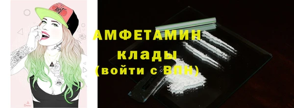 прущие грибы Костерёво