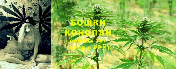 прущие грибы Костерёво