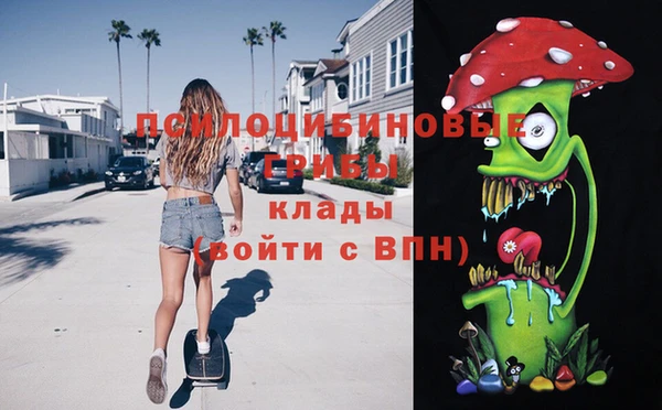 МДПВ Краснотурьинск