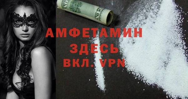 прущие грибы Костерёво