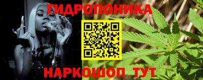 стаф Тула