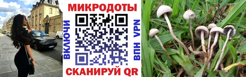 купить Лосино-Петровский маркетплейс формула Псилоцибиновые грибы Magic Shrooms