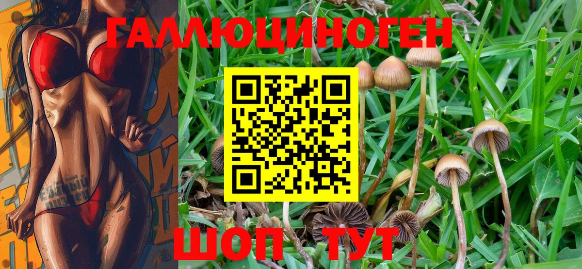 Галлюциногенные грибы MAGIC MUSHROOMS  Вход с VPN  Лосино-Петровский 
