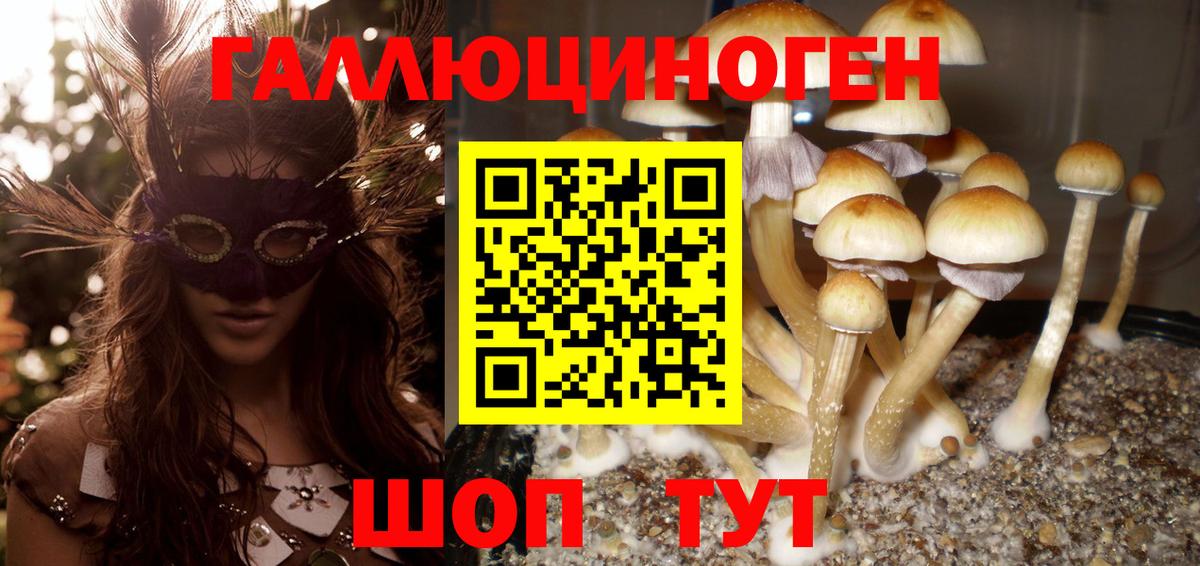 Галлюциногенные грибы ЛСД Лосино-Петровский