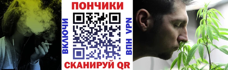 Бошки Шишки VHQ Лосино-Петровский