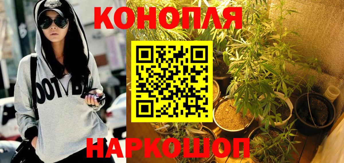 Марихуана тримм Лосино-Петровский